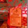 Raye's Christmas Treat Boxes